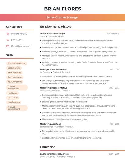 Senior Channel Manager Resume
