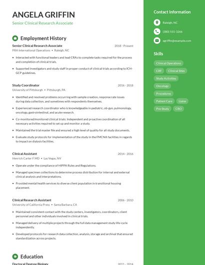 Resume example 4