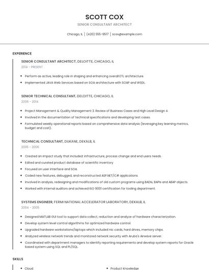 Senior Consultant Architect Resume