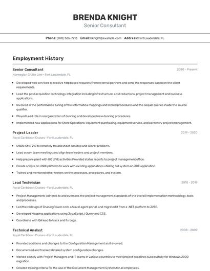 Resume example 2