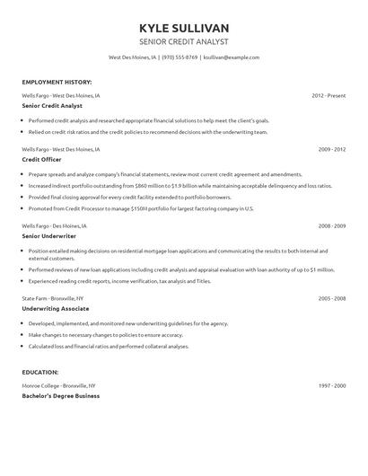 Senior Credit Analyst Resume