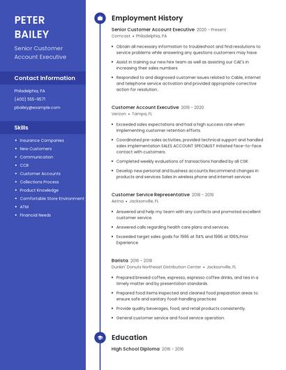 Senior Customer Account Executive Resume
