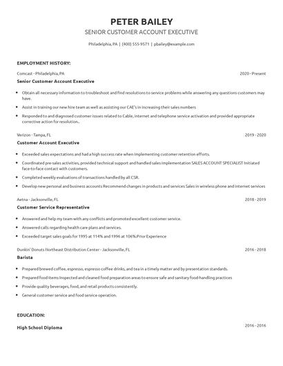 Senior Customer Account Executive Resume