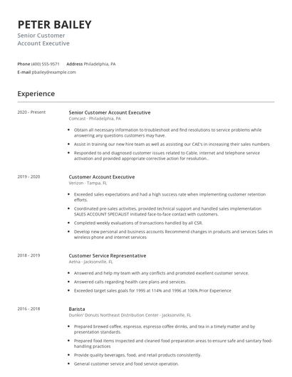 Senior Customer Account Executive Resume