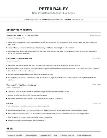Senior Customer Account Executive Resume