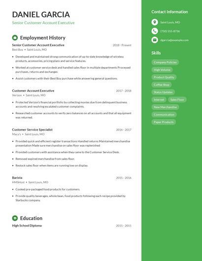 Senior Customer Account Executive Resume