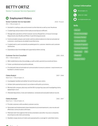 Resume example 4