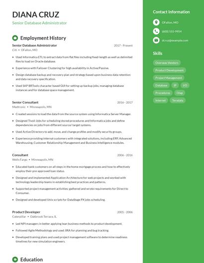 Resume example 5