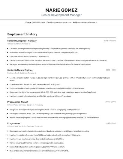 Resume example 2