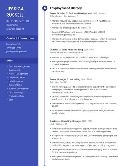 Senior Director Of Business Development Resume