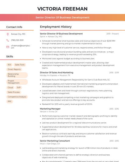 Senior Director Of Business Development Resume
