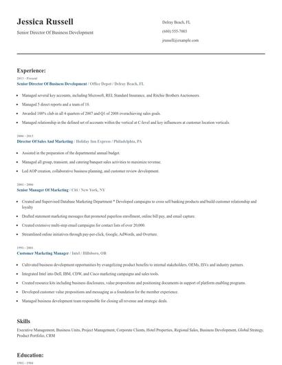 Senior Director Of Business Development Resume