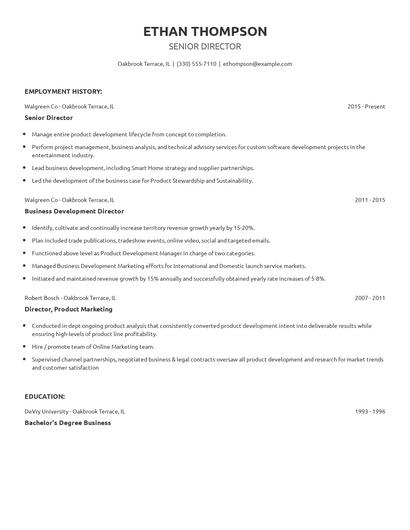 Senior Director Resume