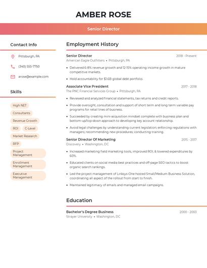 Resume example 3