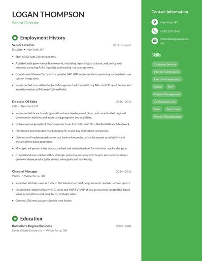 Senior Director Resume