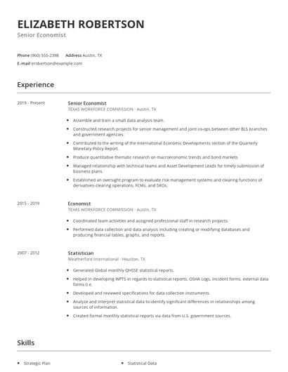Senior Economist Resume