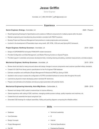 Resume example 1