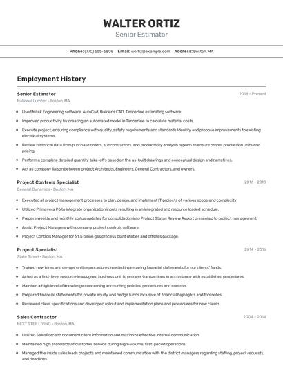 Resume example 2