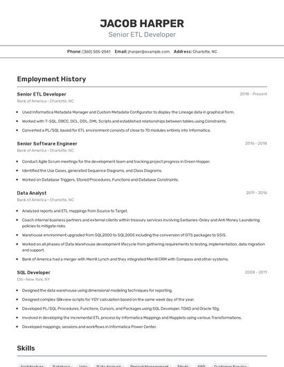 Resume example 2