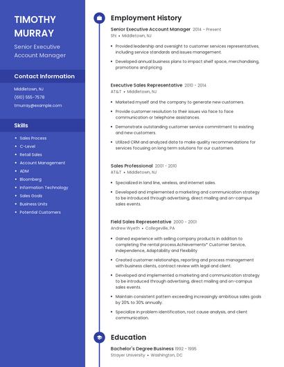 Senior Executive Account Manager Resume