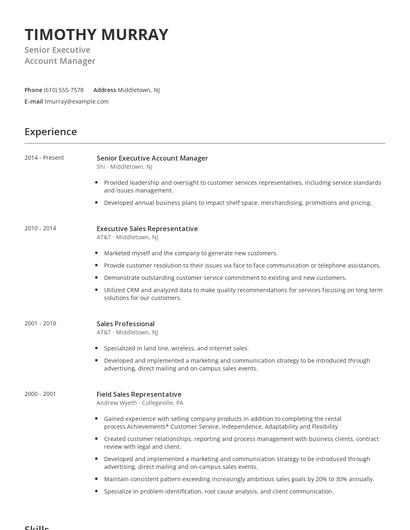 Senior Executive Account Manager Resume