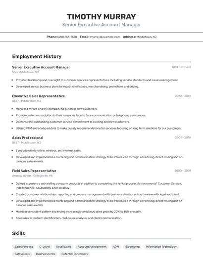 Senior Executive Account Manager Resume