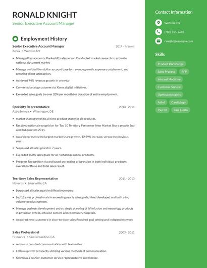 Senior Executive Account Manager Resume