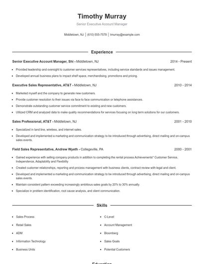 Senior Executive Account Manager Resume