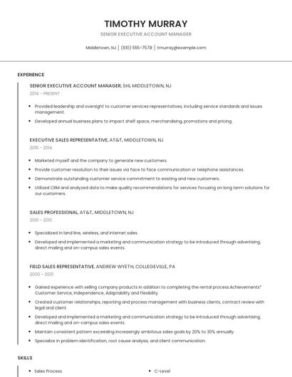 Senior Executive Account Manager Resume
