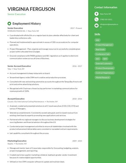 Resume example 4