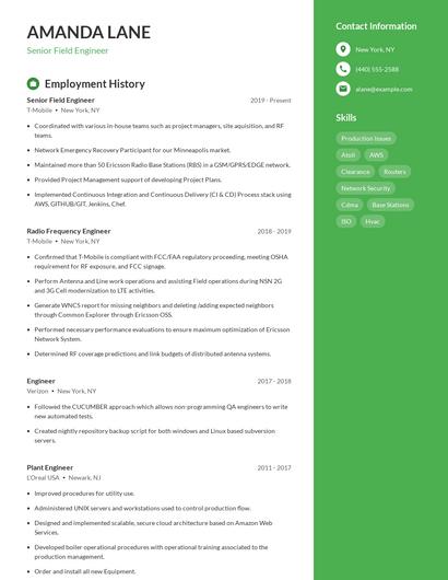Resume example 4