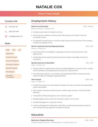 Senior Fraud Analyst Resume