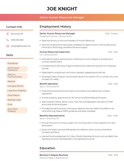Resume example 3