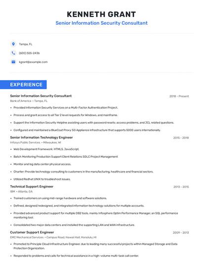 Senior Information Security Consultant Resume