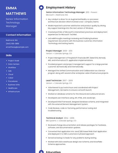 Senior Information Technology Manager Resume