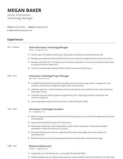 Senior Information Technology Manager Resume