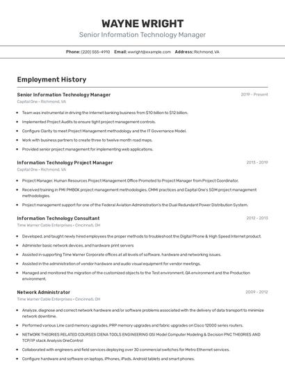 Senior Information Technology Manager Resume