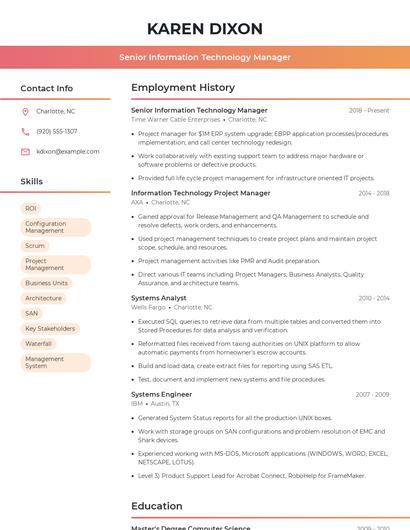 Senior Information Technology Manager Resume