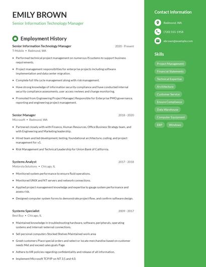 Senior Information Technology Manager Resume