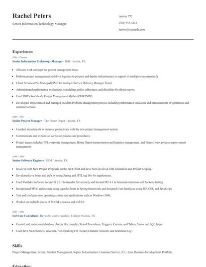 Senior Information Technology Manager Resume