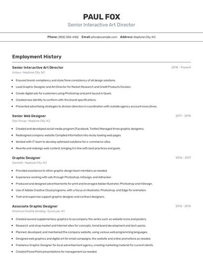 Senior Interactive Art Director Resume