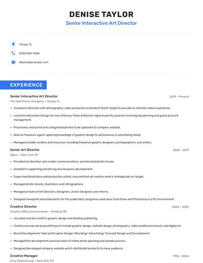 Senior Interactive Art Director Resume