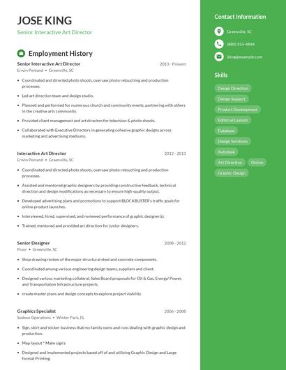 Senior Interactive Art Director Resume