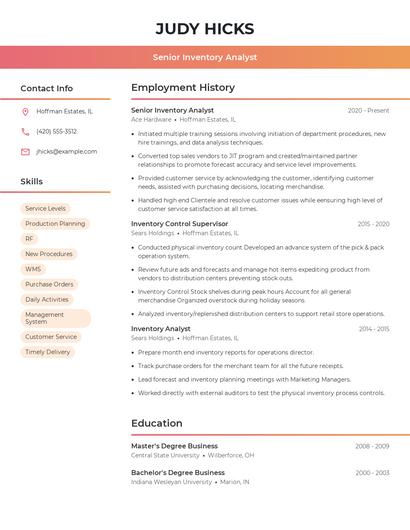 Senior Inventory Analyst Resume