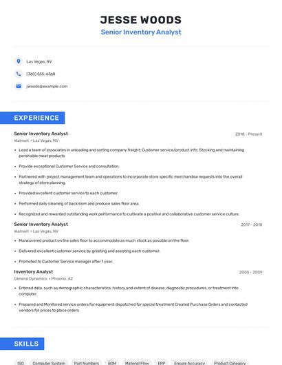 Senior Inventory Analyst Resume