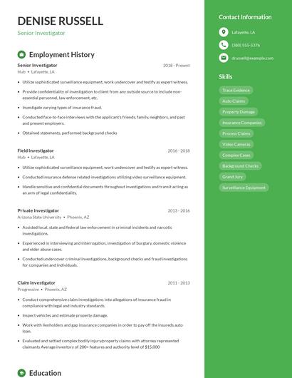 Resume example 4