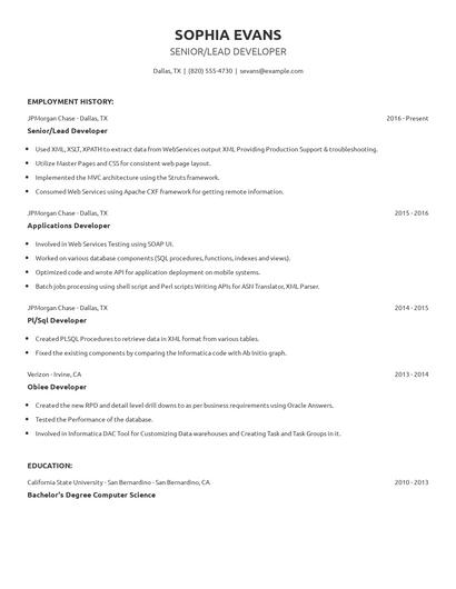 Senior/Lead Developer Resume