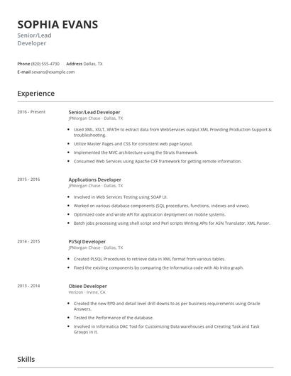 Senior/Lead Developer Resume