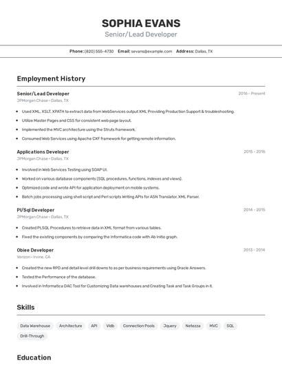Resume example 2
