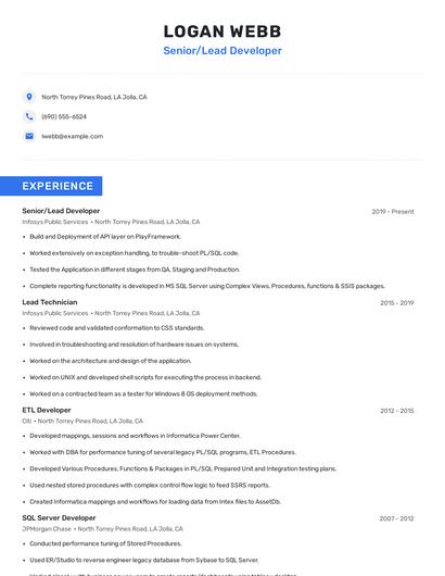 Senior/Lead Developer Resume